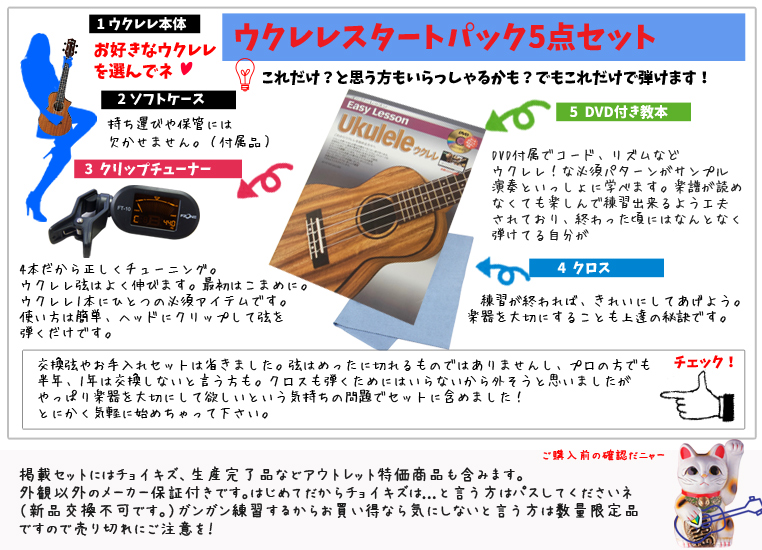 Epiphone　エピフォン アコースティックギター ソフトケース、弦セット付