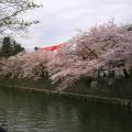 南禅寺〜平安神宮 | 京都音楽教室