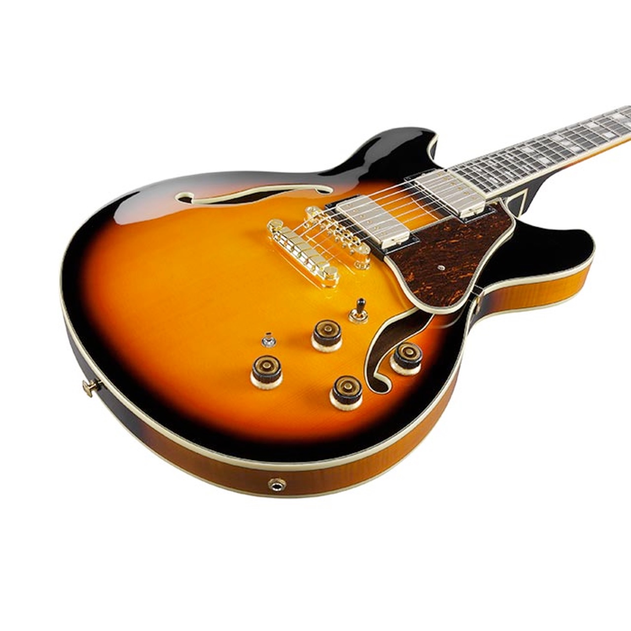 Ibanez アイバニーズ AS113 BS セミアコ エレキギター Brown Sunburst 送料無料! | ワタナベ楽器店 ONLINE  SHOP