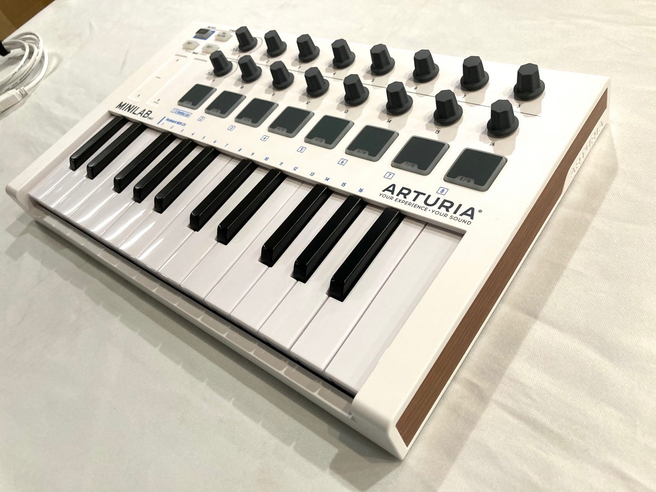 ブルー×レッド ARTURIA MiniFreak 【超美品】未使用に近い 送料無料