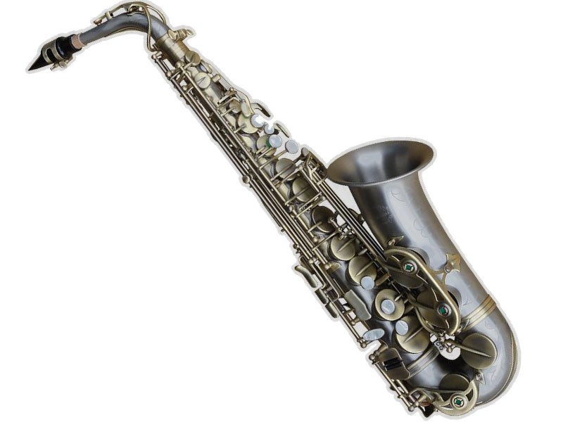 Chateau シャトー CAS-HNS アルトサックス サテン ニッケルシルバー HANDMADE SERIES Alto Saxophone  satin 北海道 沖縄 離島不可 送料無料! | ワタナベ楽器店 ONLINE SHOP