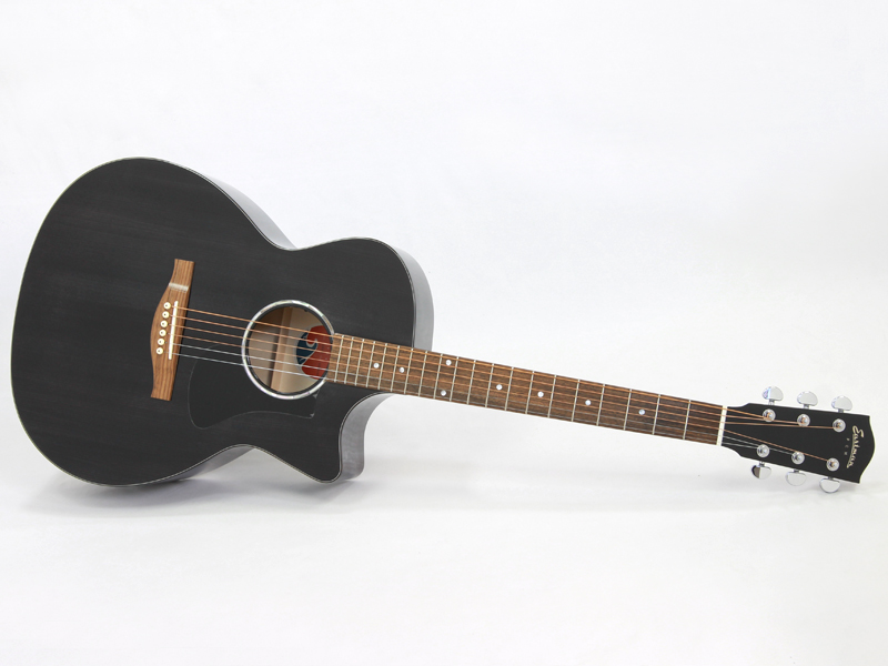 EASTMAN ( イーストマン ) PCH3-GACE Trans Black アコースティック