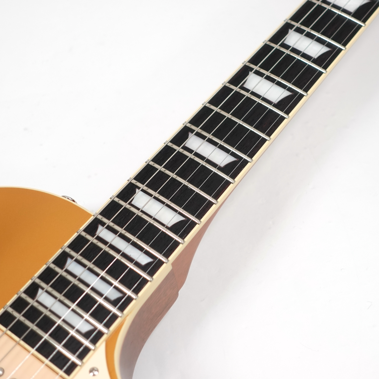 TOKAI ( トーカイ ) LS144S / GT(Gold Top) | ワタナベ楽器店 大阪店