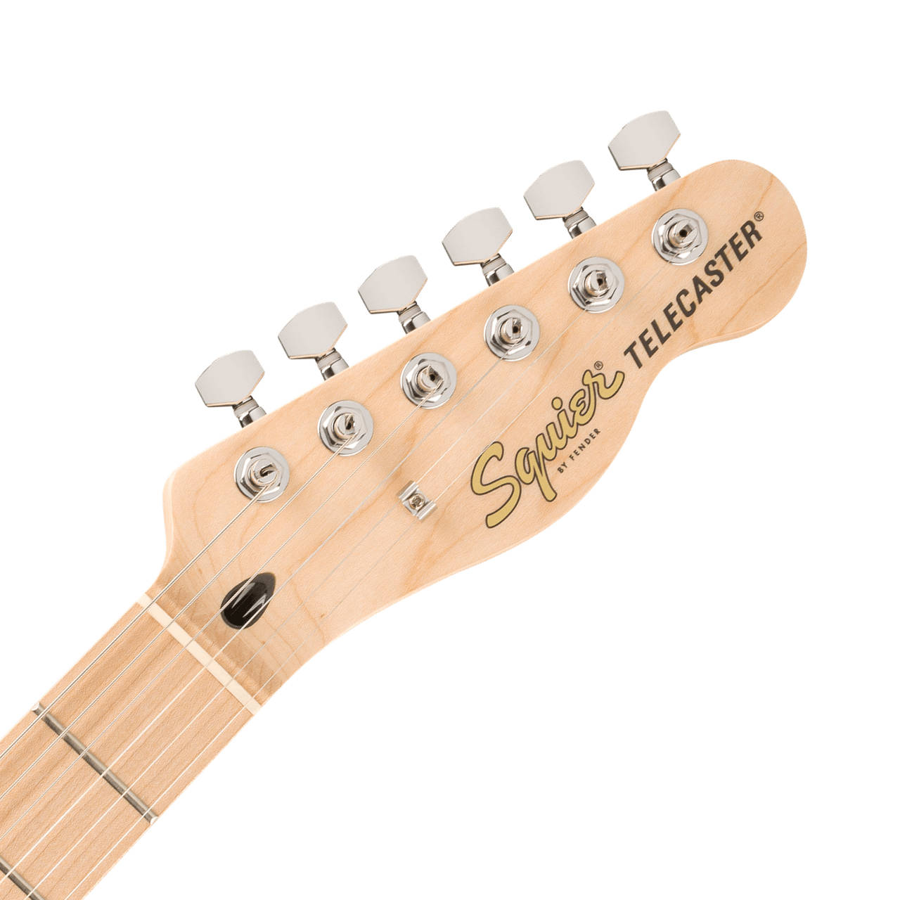 SQUIER スクワイヤー Affinity Telecaster FMT SH Mocha テレキャスター エレキギター 送料無料! |  ワタナベ楽器店 ONLINE SHOP