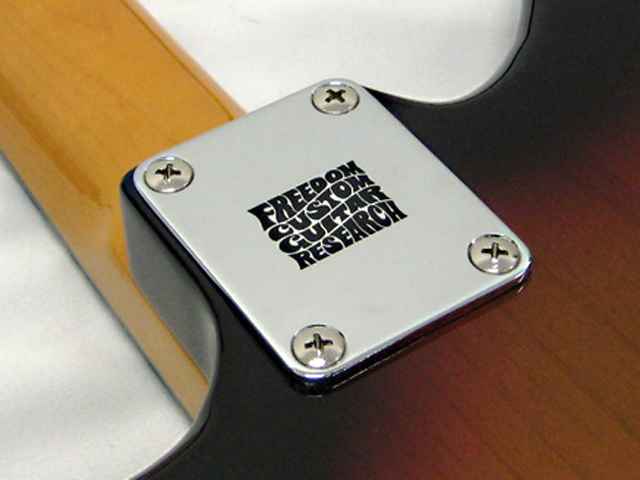 Freedom Custom Guitar Research Tone Shift Plate 3mm Chrome / SP-JP 