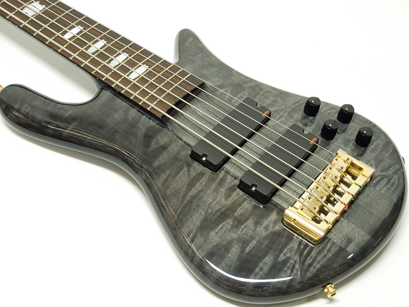 SPECTOR EURO 6 LX /Black Stain Gloss Gold Hardware 40%OFF 