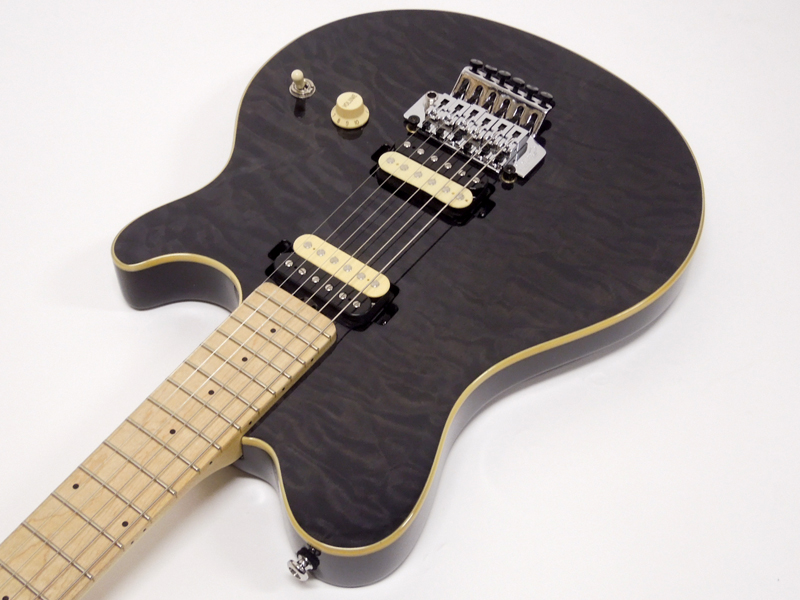Sterling by Musicman AX-40 / Translucent Black 30%OFF! | ワタナベ 
