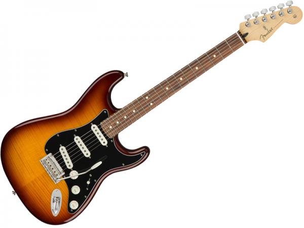 Fender フェンダー Player Stratocaster Plus Top（ Tobacco Sunburst / PF ）【MEX ストラトキャスター 】