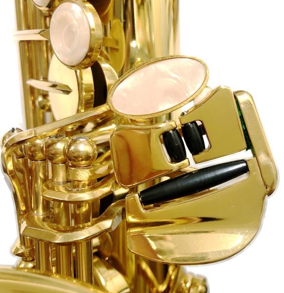 Antigua アンティグア AS2800 エルドン アルトサックス アウトレット セミハードケース セット ラッカー 管楽器 eldon GL  Alto saxophone 北海道 沖縄 離島不可 送料無料! | ワタナベ楽器店 ONLINE SHOP