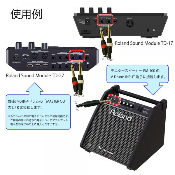 Roland ( ローランド ) 1台限定 箱ボロ特価 PM-100 + 3m 接続