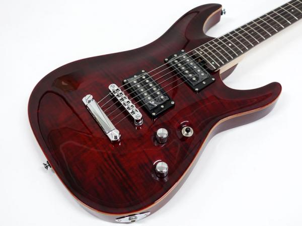 SCHECTER シェクター JOL-CT-6 BKCH エレキギター 限定モデル WO 送料無料! | ワタナベ楽器店 ONLINE SHOP