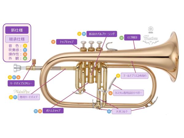 YAMAHA ヤマハ YFH-8315G フリューゲルホルン ラッカー ゴールド ゴールドブラス カスタム B♭ Flugelhorn custom  gold セット D 北海道 沖縄 離島不可 送料無料! | ワタナベ楽器店 ONLINE SHOP