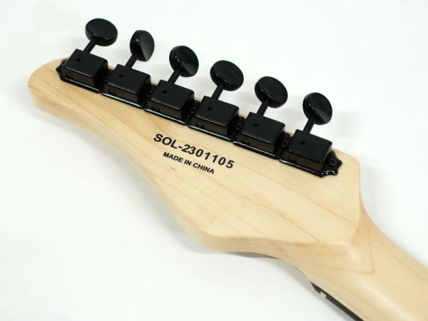 SCHECTER ( シェクター ) OL-PT-2H-VTR/R BKM オリエンタルライン