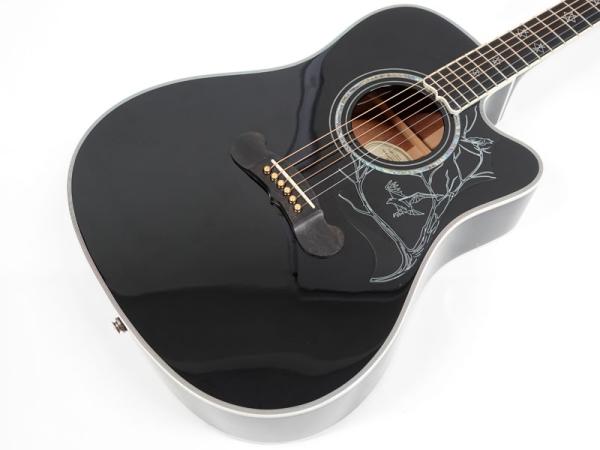 Epiphone エピフォン Dave Navarro Signature < Used / 中古品 > | ワタナベ楽器店 大阪店