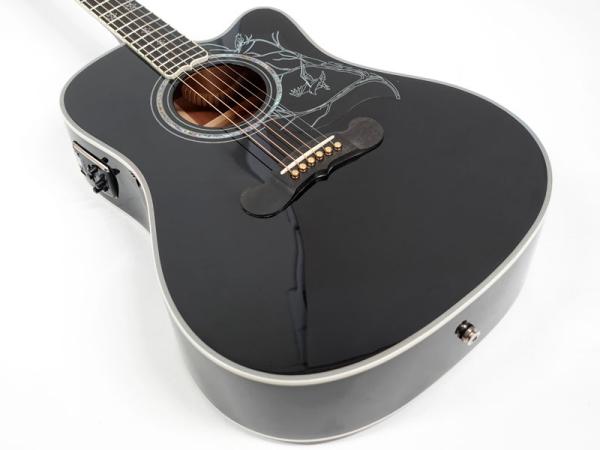 藤様専用 Epiphone Dave Navarro - アコースティックギター