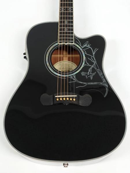 Epiphone エピフォン Dave Navarro Signature < Used / 中古品 > | ワタナベ楽器店 大阪店