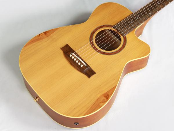 Maton Guitars メイトンギターズ PERFORMER LTD 2023 Orange Mouse アコースティックギター パフォーマー  限定 送料無料! | ワタナベ楽器店 ONLINE SHOP