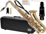 Antigua  アンティグア TS3108 テナーサックス スタンダード ラッカー ゴールド  管楽器 tenor saxophone Standard GL gold セット D　北海道 沖縄 離島不可