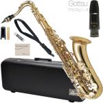 Antigua  アンティグア TS3108 テナーサックス スタンダード ラッカー Tenor saxophone Standard GL gold Gottsuセピアトーン VI セット G　北海道 沖縄 離島不可