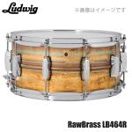 LUDWIG ラディック LB464R Raw Brass Phonic 14"×6.5" ドラム スネア ブラス
