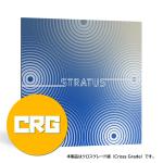 iZotope Stratus: Crossgrade from any Exponential Audio product ダウンロード商品 iZotope サラウンド リバーブ プラグイン エフェクト 日本正規品 DAW DTM
