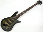 SPECTOR NS Dimension 5 / Haunted Moss Matte < Used / 中古品 > 