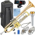 YAMAHA ヤマハ YTR-8335G トランペット 正規品 Xeno ゼノ ゴールドブラス ゴールド カスタム 楽器 B♭ Trumpets custom セット D　北海道 沖縄 離島不可