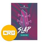 UJAM ユージャム Virtual Bassist SLAP クロスグレード ベース音源 プラグイン DTM DAW