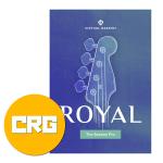 UJAM ユージャム Virtual Bassist ROYAL 2 クロスグレード ベース音源 DTM DAW