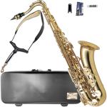 Antigua  アンティグア TS3108 テナーサックス スタンダード ラッカー ゴールド  管楽器 tenor saxophone Standard GL gold セット N　北海道 沖縄 離島不可