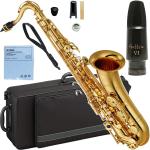 YAMAHA ヤマハ YTS-480 テナーサックス ラッカー ゴールド 管楽器 tenor saxophone gold Gottsu セピアトーン VI  セット　北海道 沖縄 離島不可