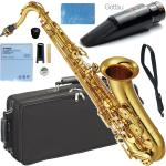 YAMAHA ヤマハ YTS-62 テナーサックス ラッカー ゴールド 管楽器 Tenor saxophone gold Gottsu セピアトーン VI カスタム セット　北海道 沖縄 離島不可