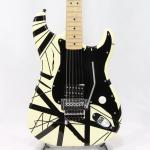 Freedom Custom Guitar Research ST Type White Stripe