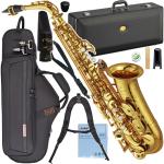 YAMAHA ヤマハ 5年保証サポート対象 YAS-82Z アルトサックス ラッカー カスタムZ Alto saxophone gold Custam Rousseau セット　北海道 沖縄 離島不可