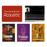 UJAM ユージャム One Song Bundle Acoustic プラグイン バンドル DTM DAW