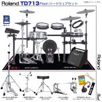 Roland ローランド TD713S [ アンプ付き Pearlツインペダルセット ]