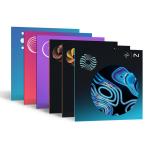 iZotope Mix & Master Bundle Advanced (Neutron 5) ［10-MMBA_NT5］ 日本正規品 DAW DTM