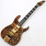 Ibanez アイバニーズ RGT1220PB ABS スルーネックRG Antique Brown Stained