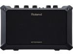 Roland ローランド MOBILE AC ( モバイルエーシー )　◆Battery Powered Stereo Amplifier 