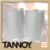 TANNOY タンノイ DVS6 W/ホワイト (ペア)  ◆ フルレンジスピーカー・全天候型